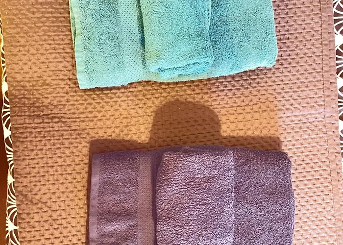 Cozy Compact France *