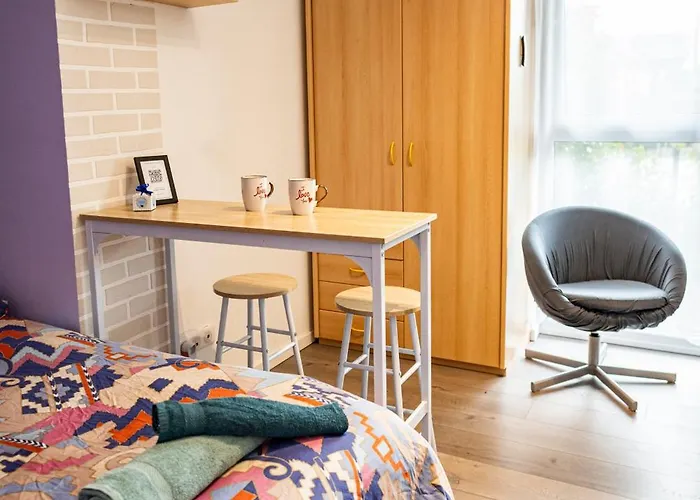 Cozy Compact France Apartment *